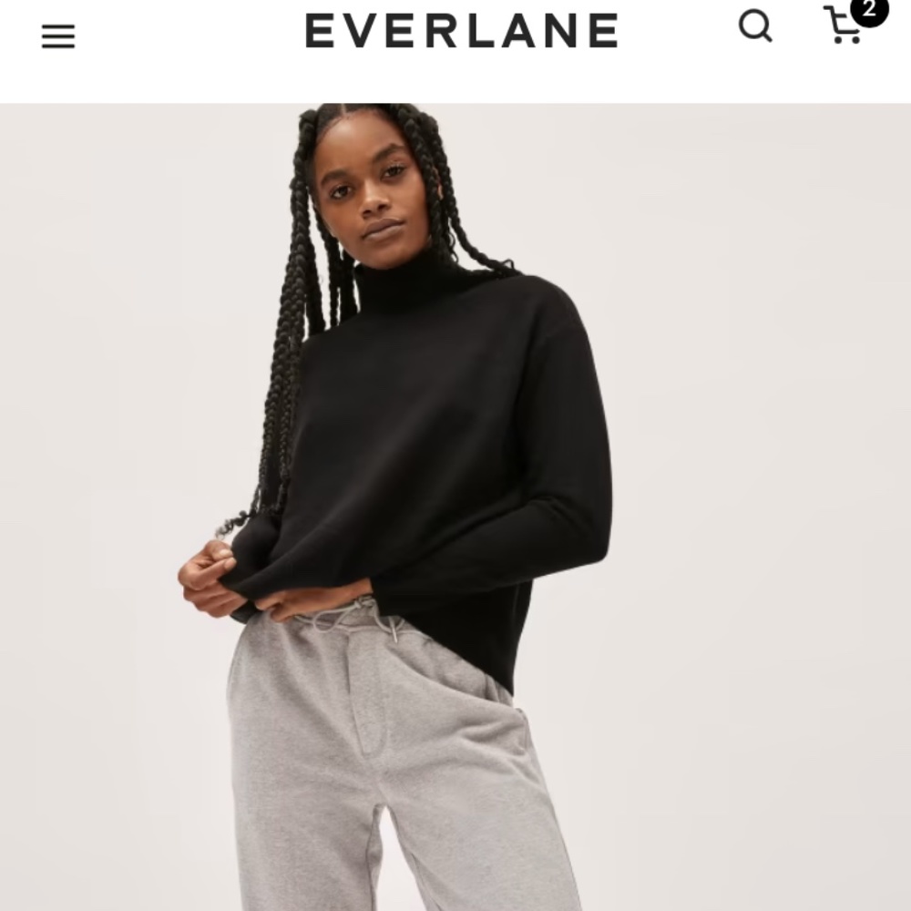 Everlane The Cashmere Square Turtleneck Med